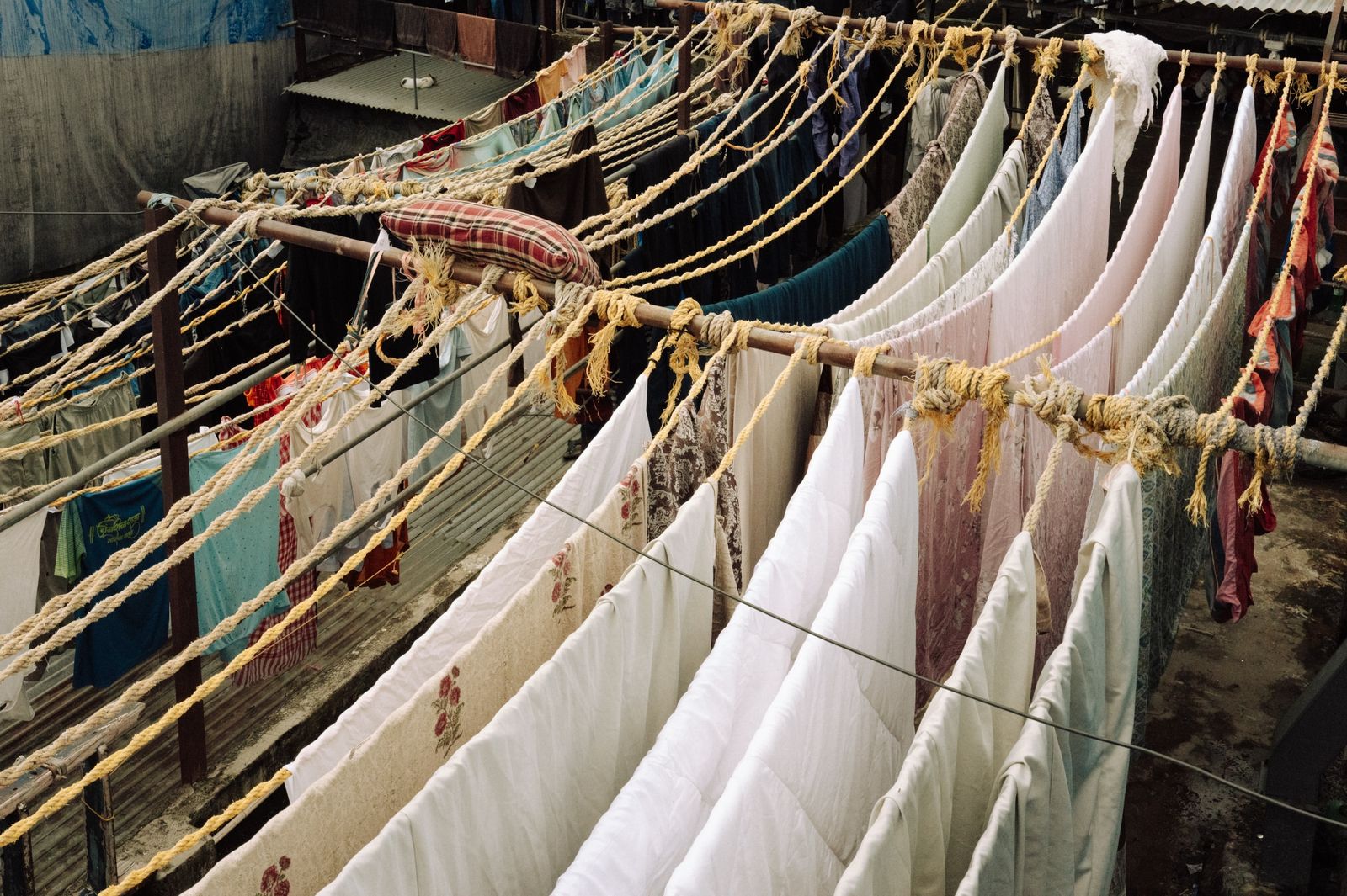 Dhobi Ghat and Dadar Flower Market Morning Tour